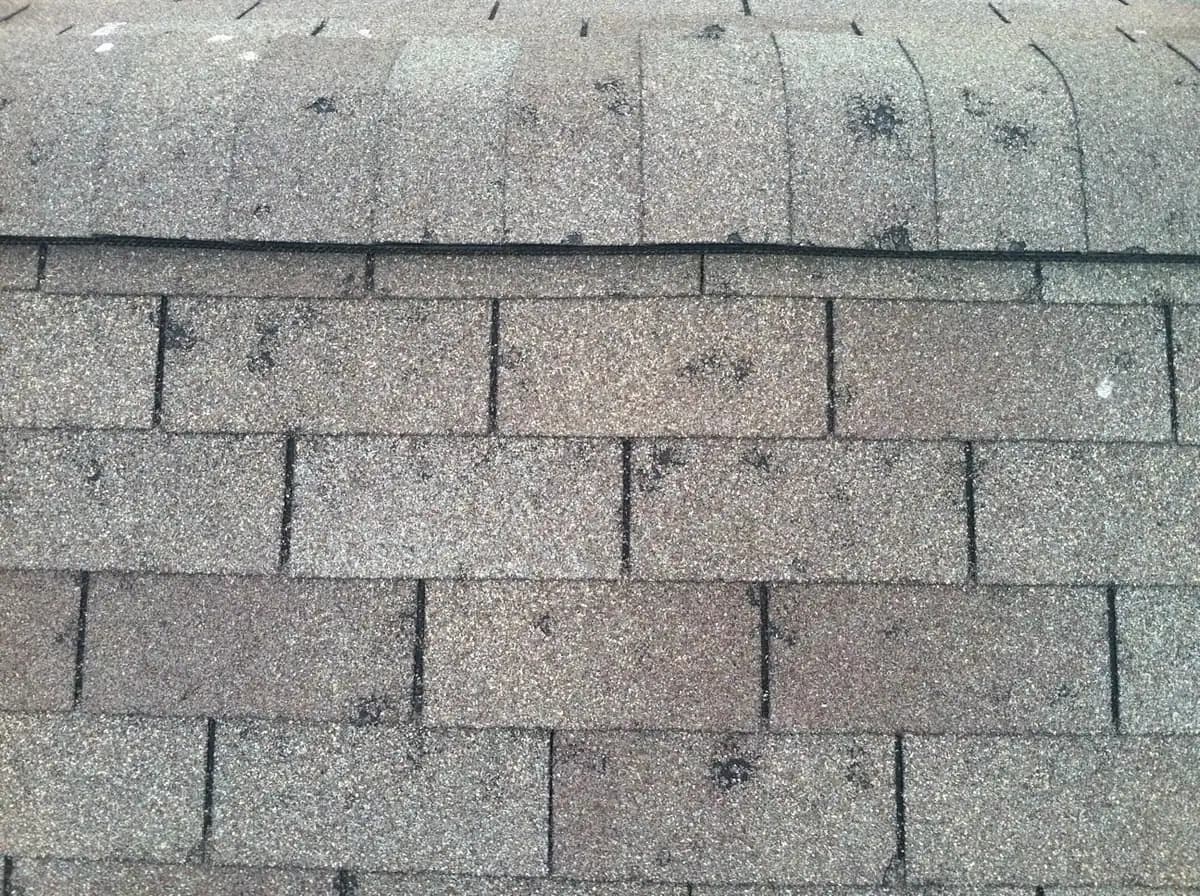 Close-up of hail damage bruising on a Calgary asphalt shingle roof