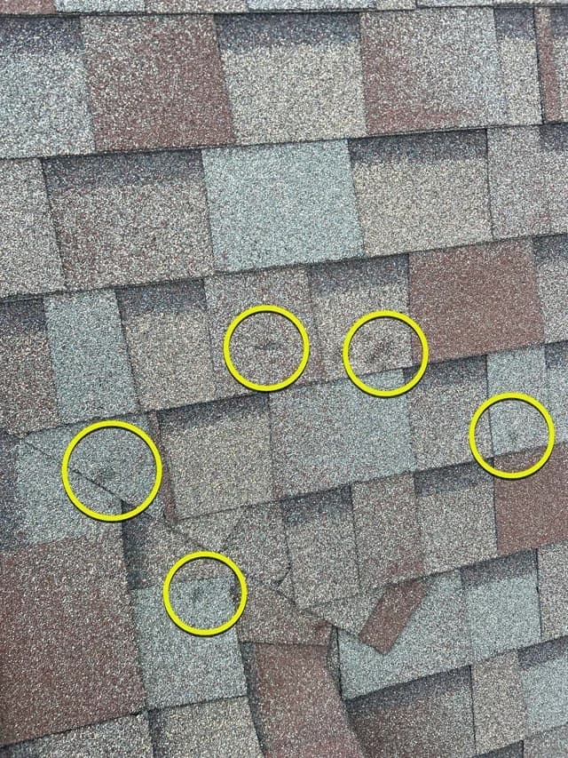 Hail impact marks circled on a Calgary shingle roof